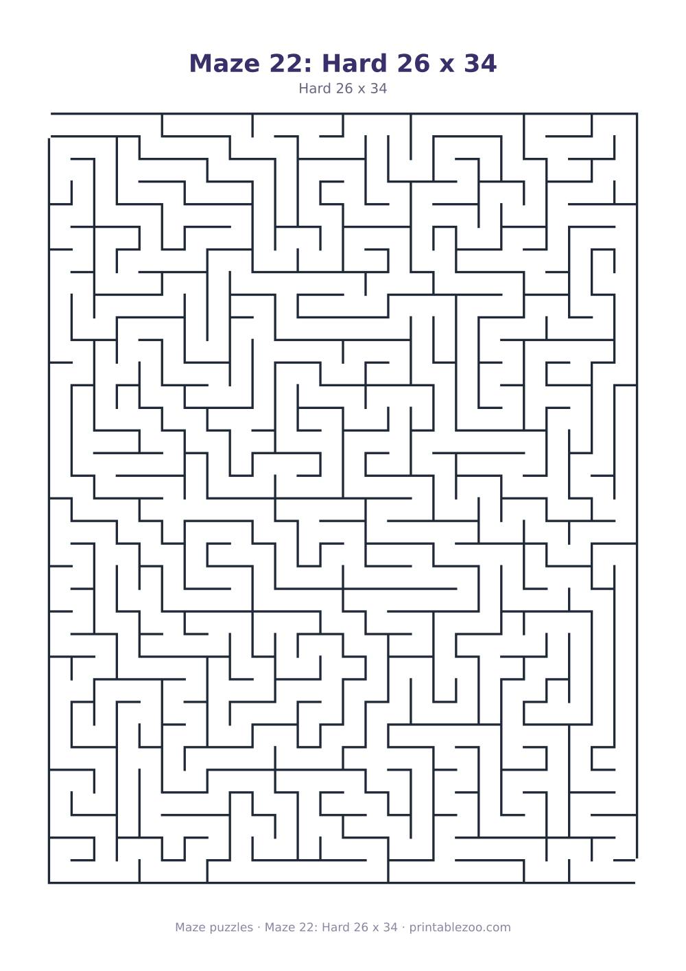 Maze 22: Hard 26 x 34