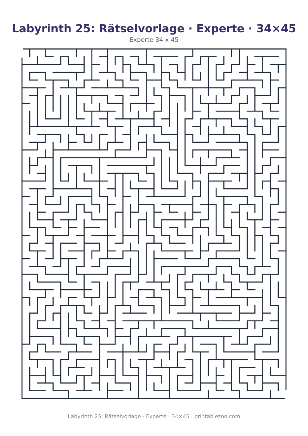 Labyrinth 25: Rätselvorlage · Experte · 34×45 als druckfertige Vorschau, Katalognummer 153401