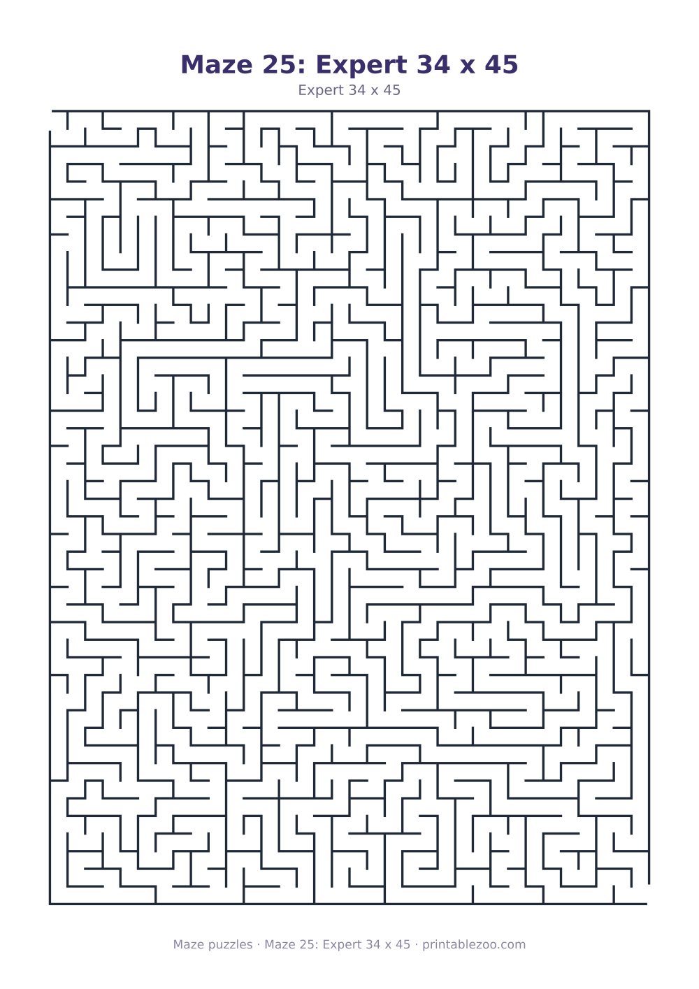 Maze 25: Expert 34 x 45