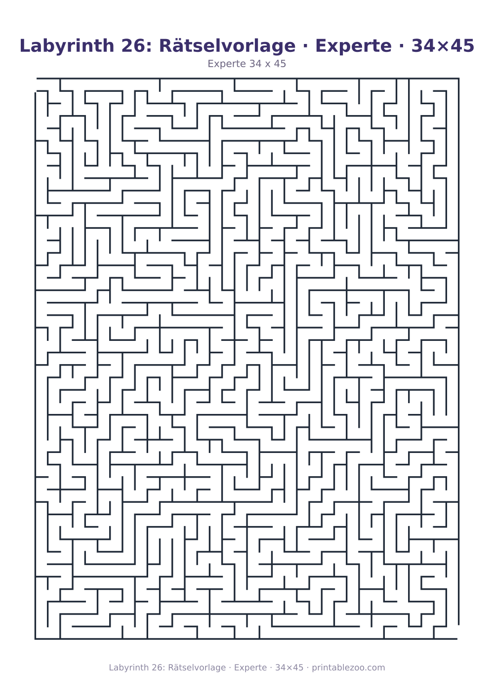 Labyrinth 26: Rätselvorlage · Experte · 34×45 als druckfertige Vorschau, Katalognummer 153402