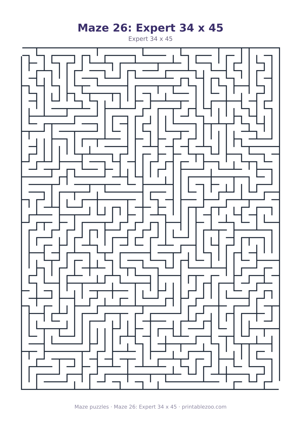 Maze 26: Expert 34 x 45