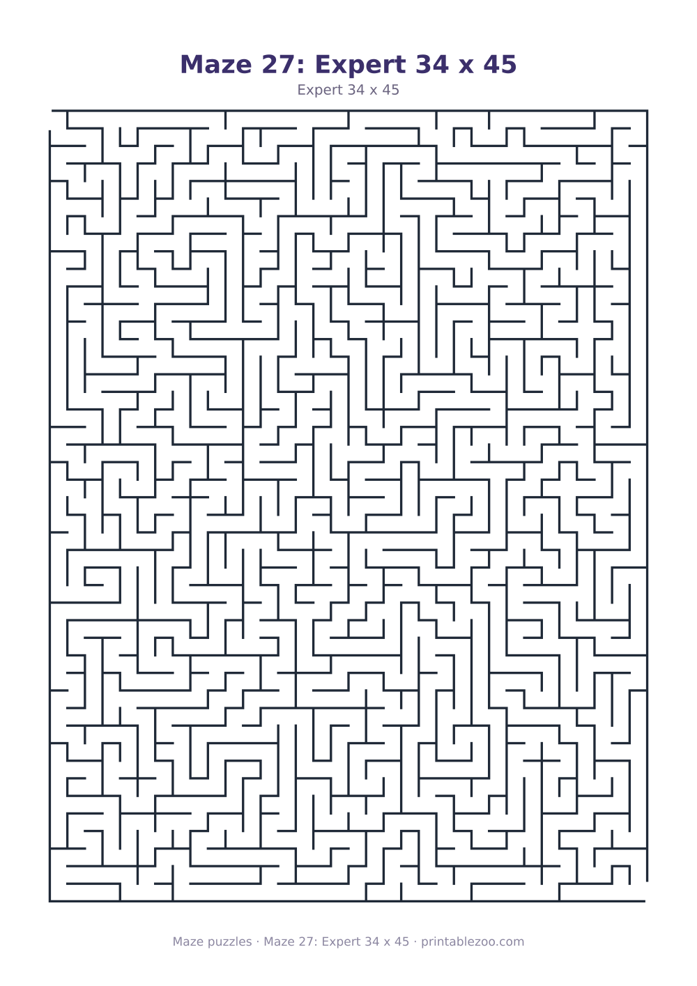 Maze 27: Expert 34 x 45