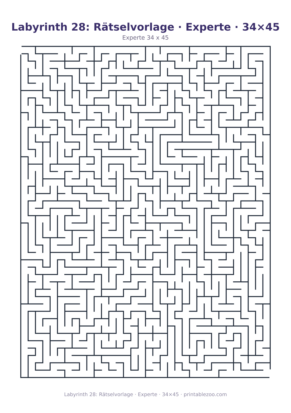 Labyrinth 28: Rätselvorlage · Experte · 34×45 als druckfertige Vorschau, Katalognummer 153404