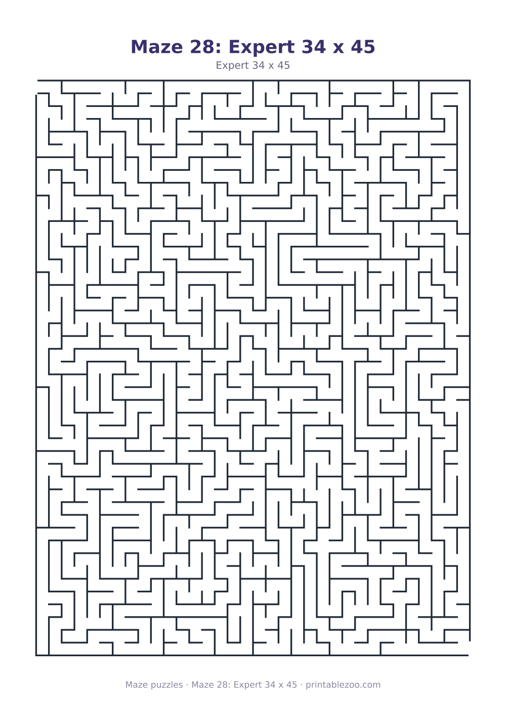 Maze 28: Expert 34 x 45