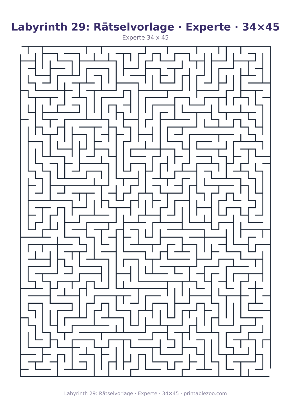 Labyrinth 29: Rätselvorlage · Experte · 34×45 als druckfertige Vorschau, Katalognummer 153405