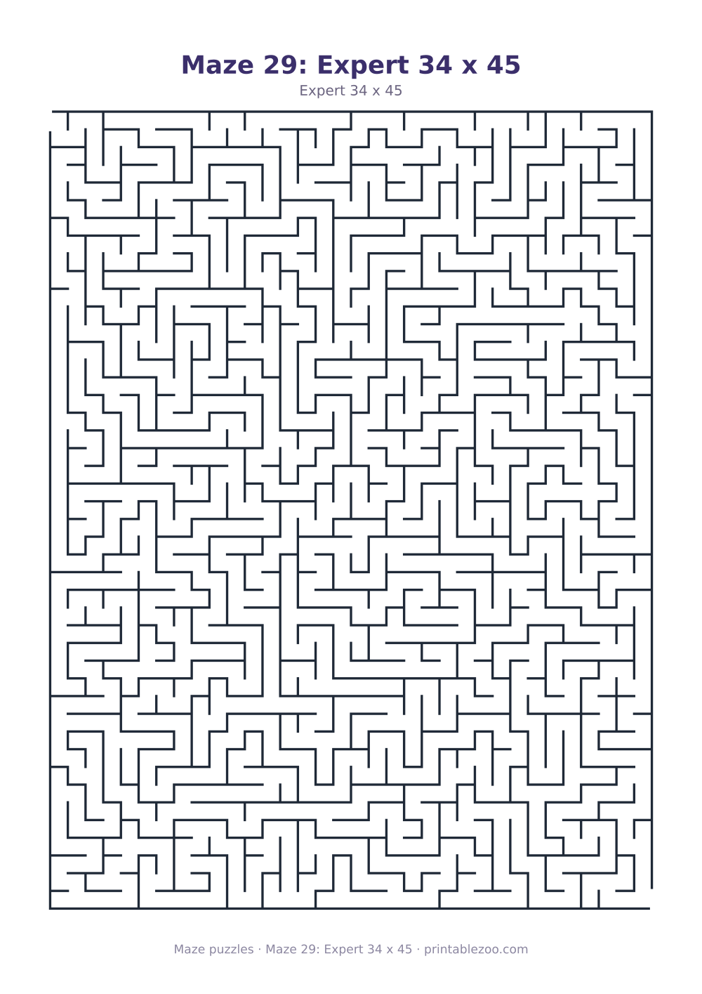 Maze 29: Expert 34 x 45