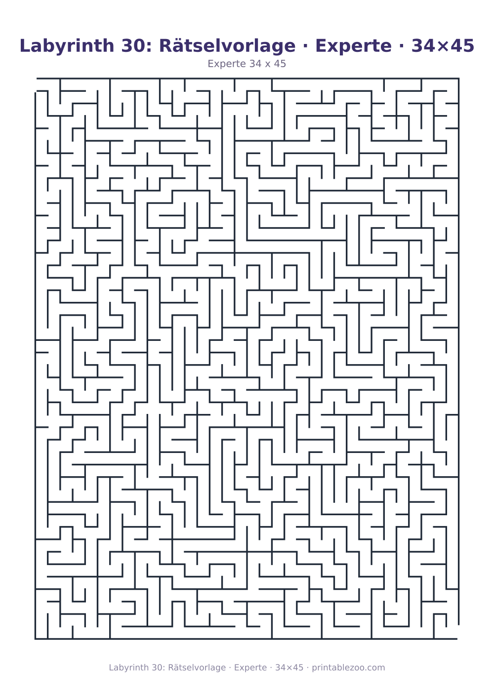 Labyrinth 30: Rätselvorlage · Experte · 34×45 als druckfertige Vorschau, Katalognummer 153406