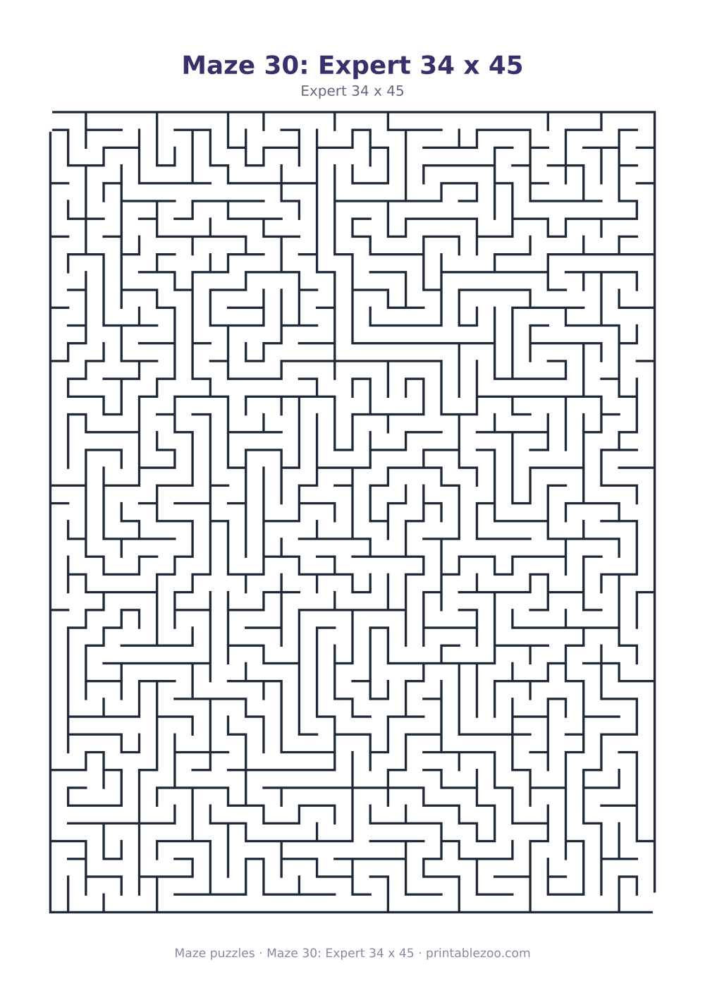 Maze 30: Expert 34 x 45