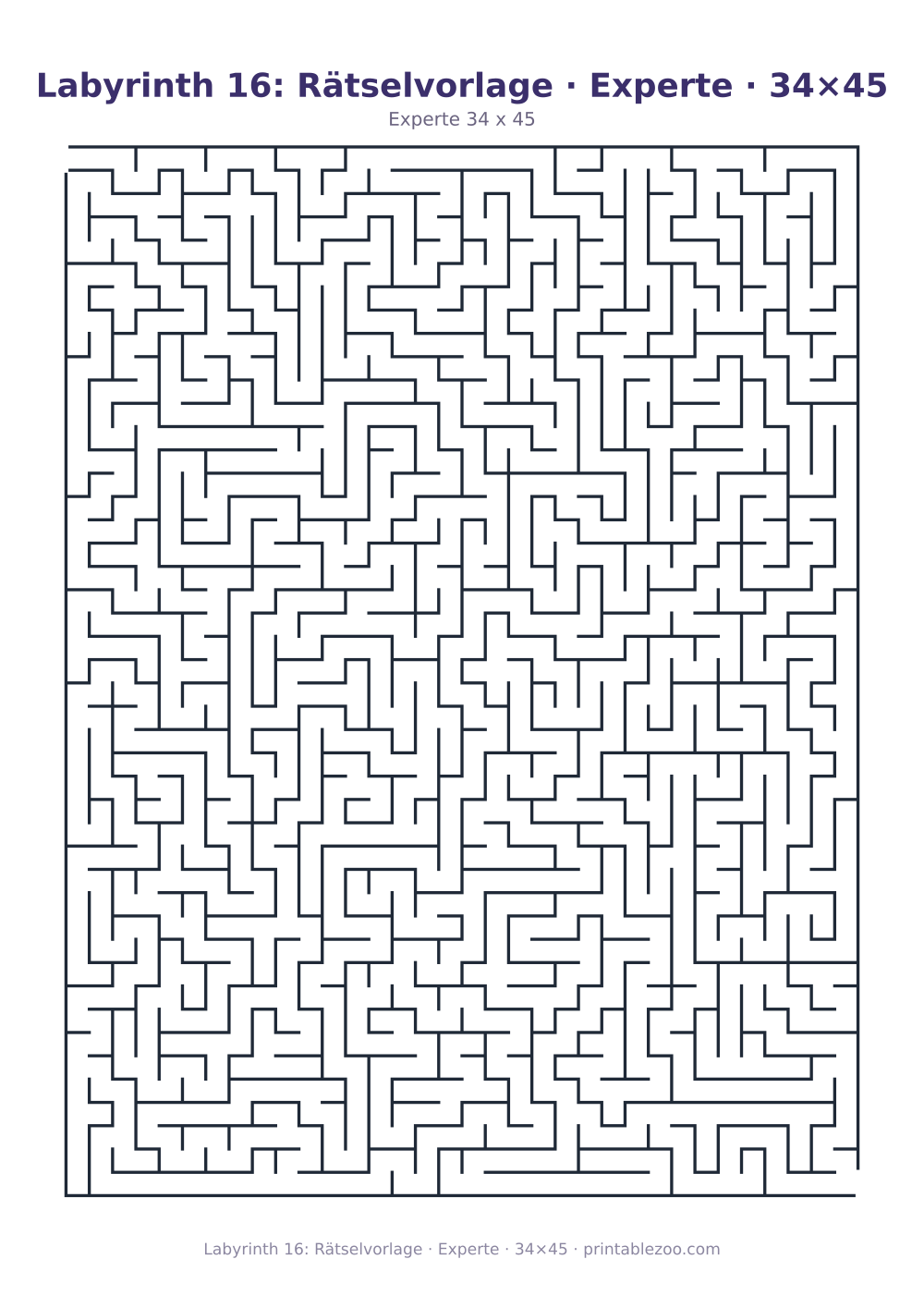 Labyrinth 16: Rätselvorlage · Experte · 34×45 als druckfertige Vorschau, Katalognummer 130122