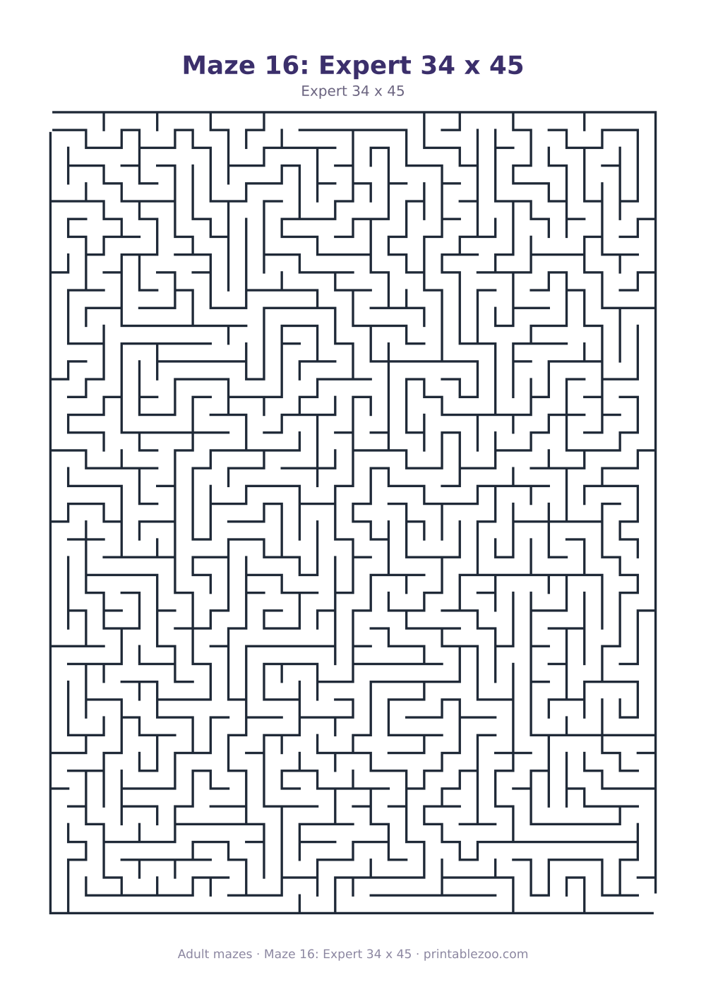 Maze 16: Expert 34 x 45