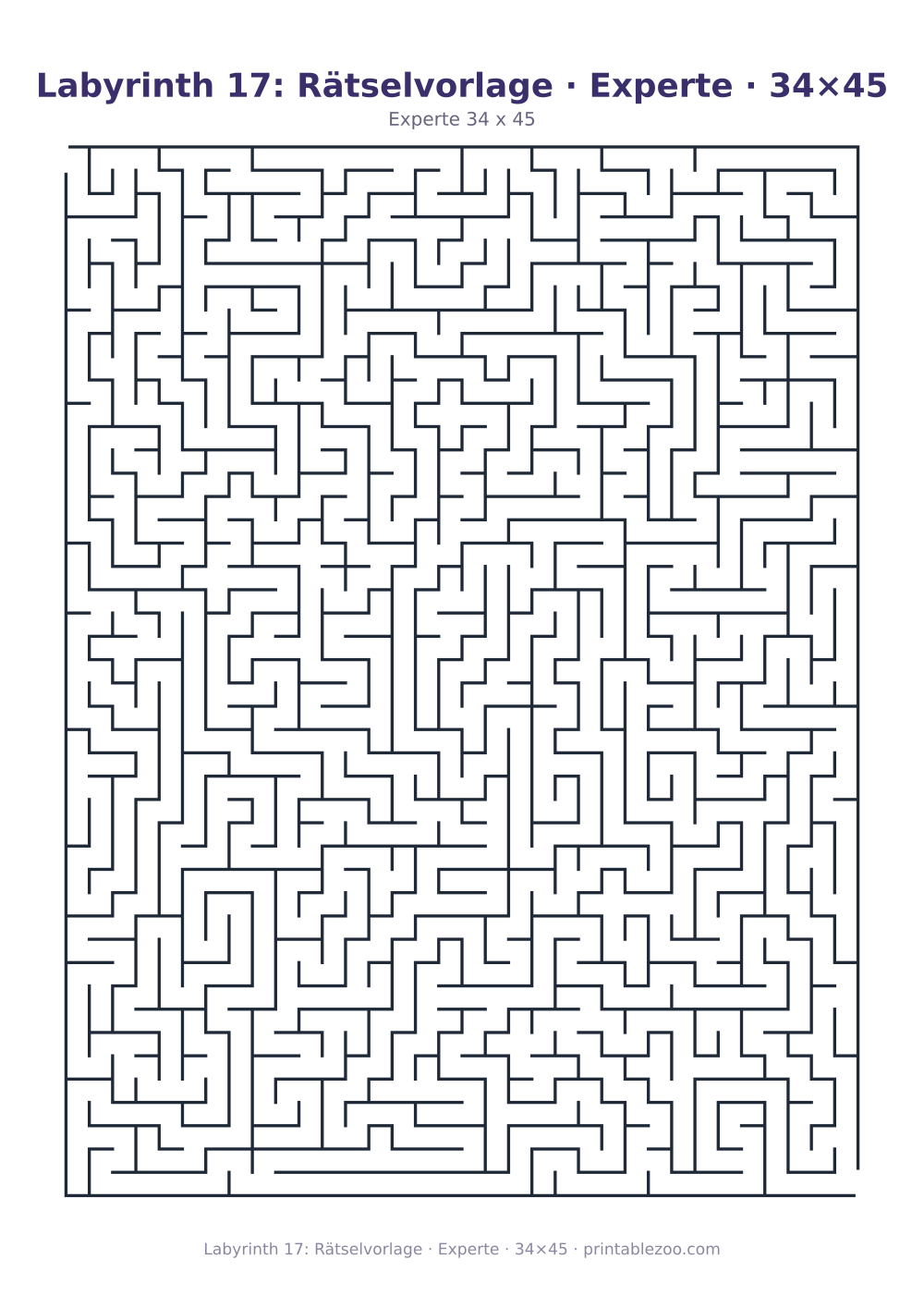 Labyrinth 17: Rätselvorlage · Experte · 34×45 als druckfertige Vorschau, Katalognummer 130123
