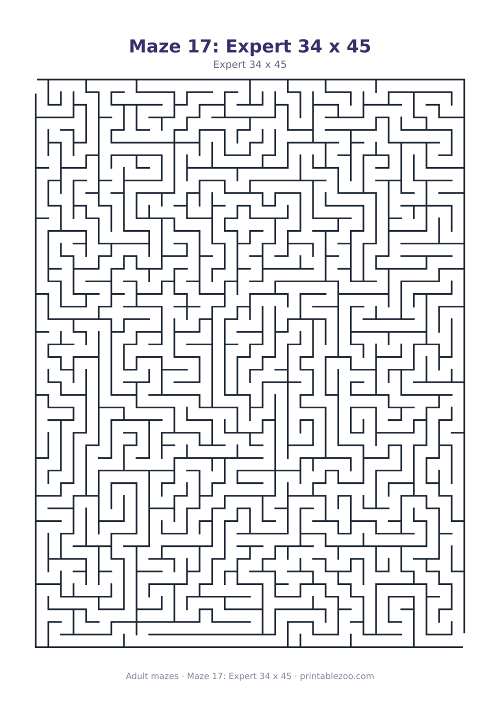 Maze 17: Expert 34 x 45