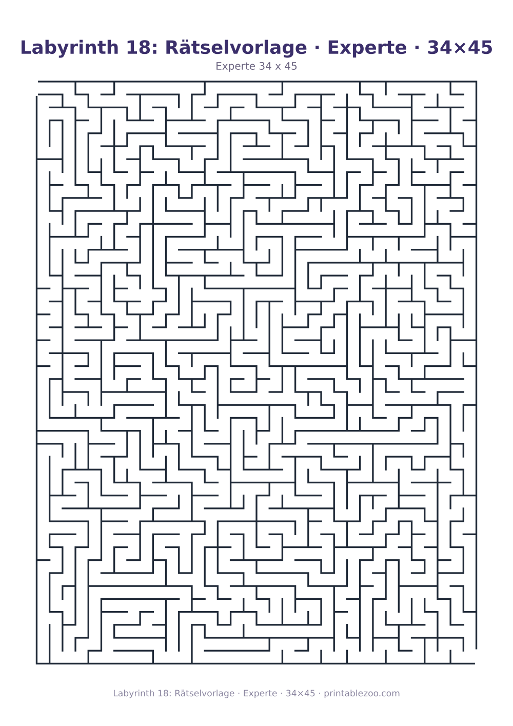 Labyrinth 18: Rätselvorlage · Experte · 34×45 als druckfertige Vorschau, Katalognummer 130124