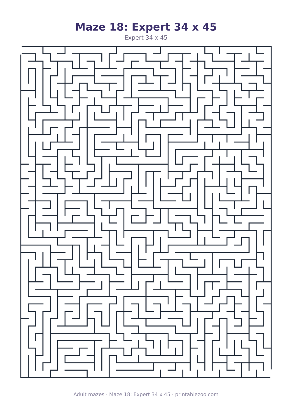 Maze 18: Expert 34 x 45