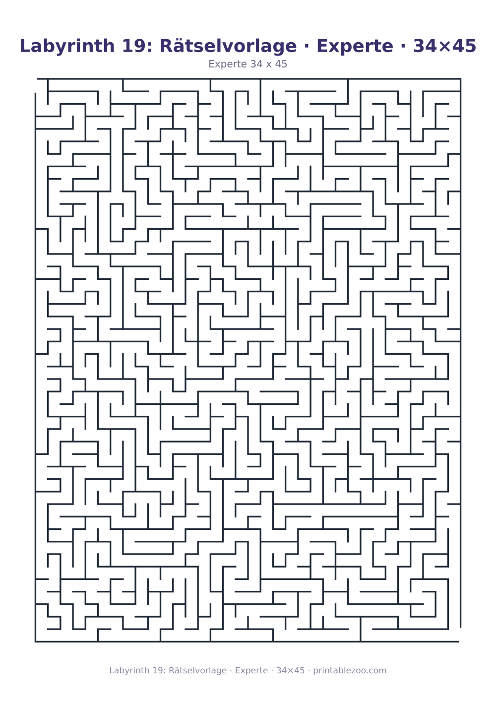 Labyrinth 19: Rätselvorlage · Experte · 34×45 als druckfertige Vorschau, Katalognummer 130125