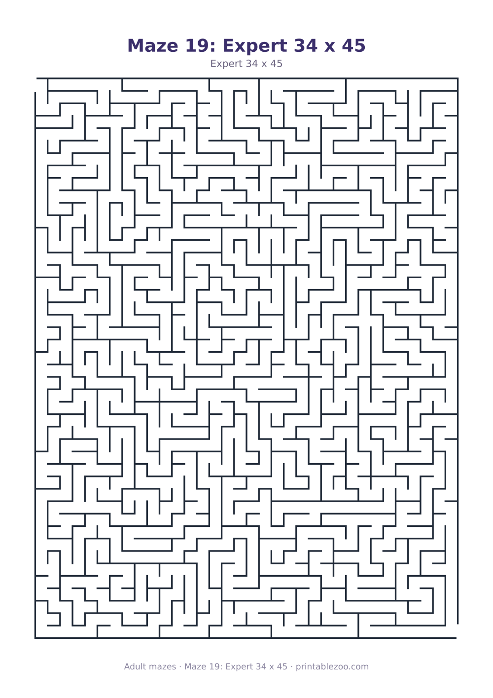 Maze 19: Expert 34 x 45