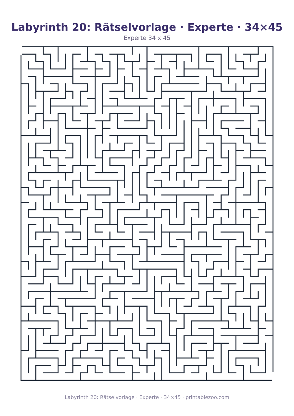 Labyrinth 20: Rätselvorlage · Experte · 34×45 als druckfertige Vorschau, Katalognummer 130126