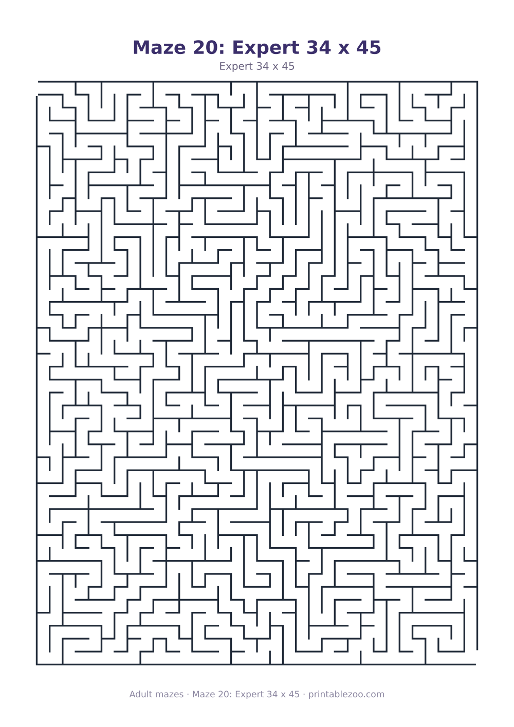 Maze 20: Expert 34 x 45