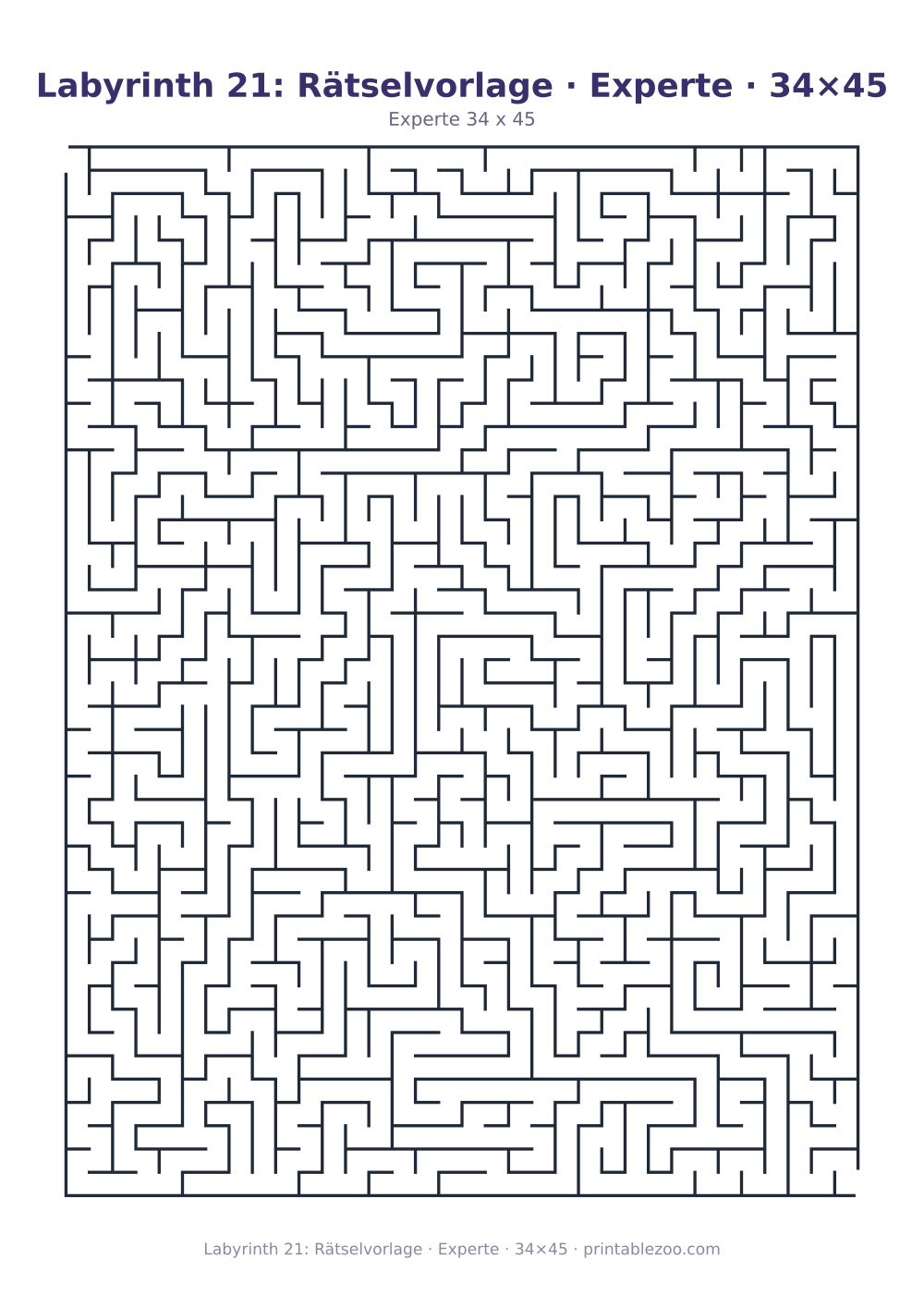 Labyrinth 21: Rätselvorlage · Experte · 34×45 als druckfertige Vorschau, Katalognummer 130127