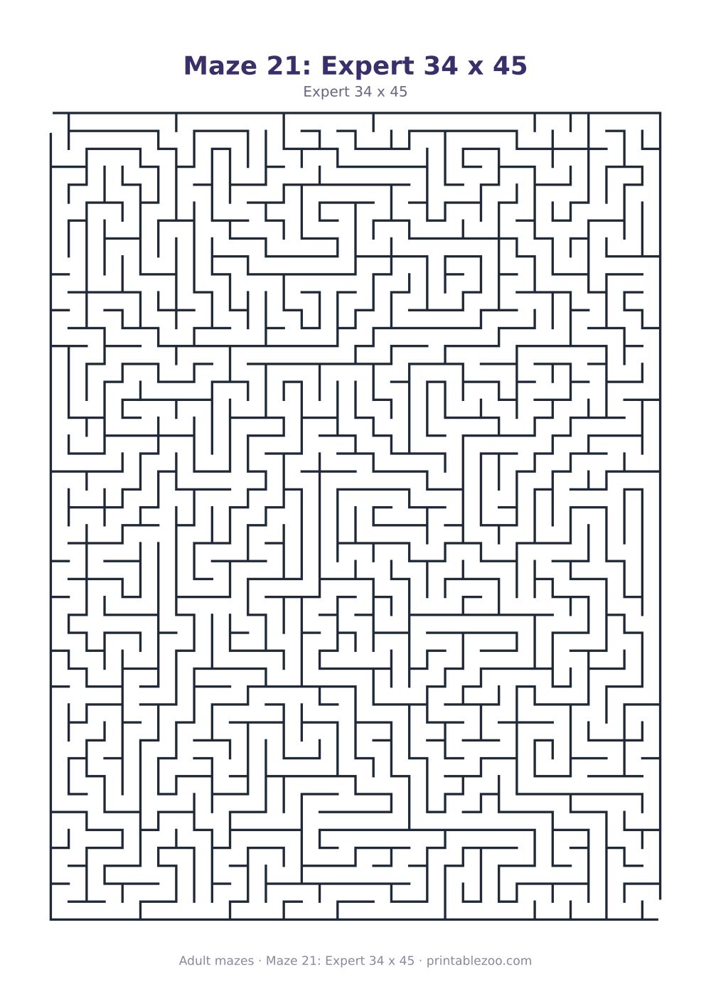 Maze 21: Expert 34 x 45