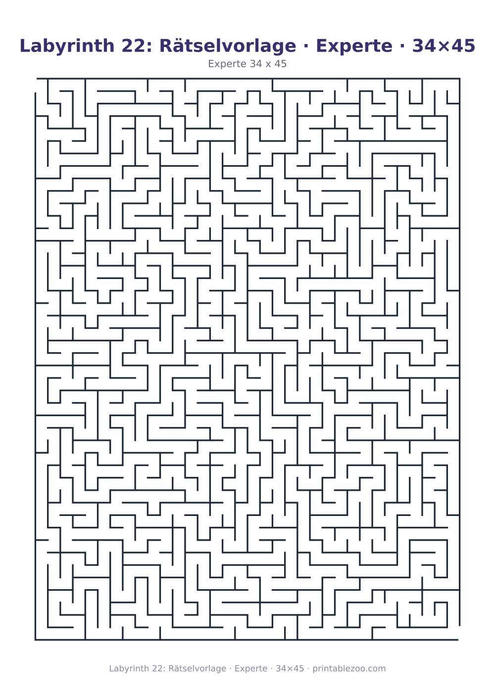 Labyrinth 22: Rätselvorlage · Experte · 34×45 als druckfertige Vorschau, Katalognummer 130128