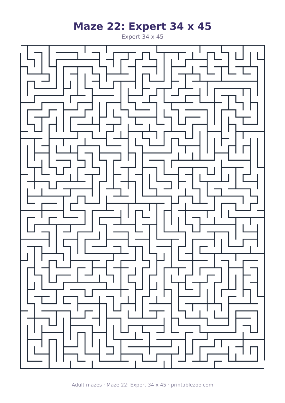 Maze 22: Expert 34 x 45