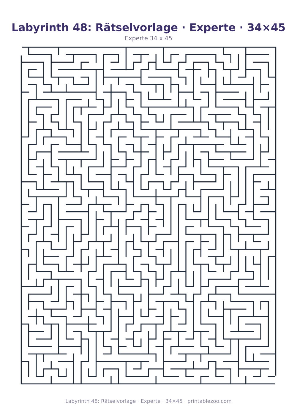 Labyrinth 48: Rätselvorlage · Experte · 34×45 als druckfertige Vorschau, Katalognummer 162126 Rätsel Nr. 162126.