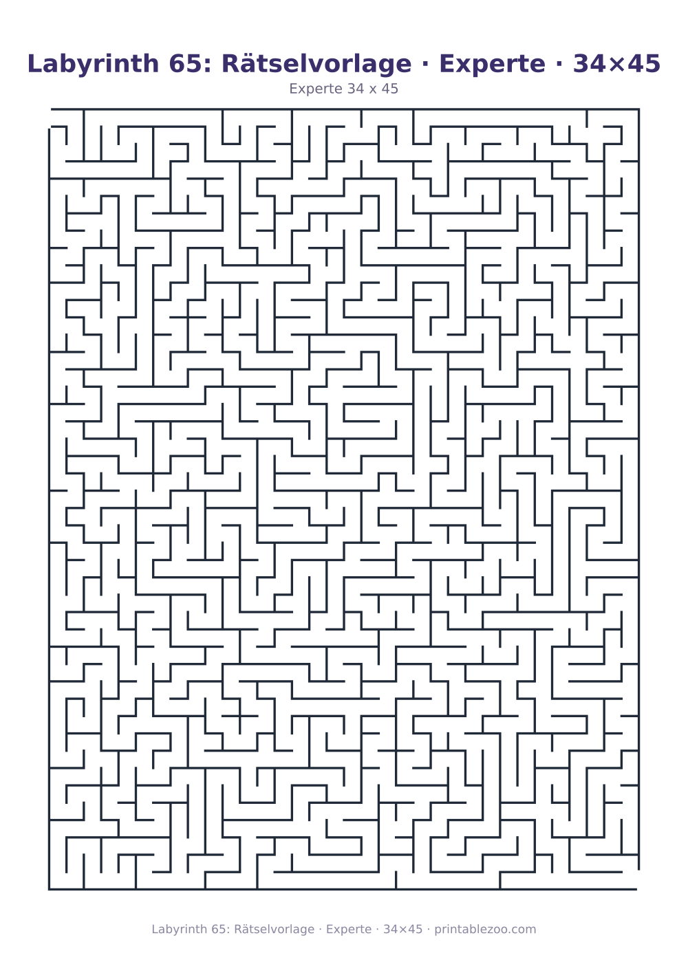 Labyrinth 65: Rätselvorlage · Experte · 34×45 als druckfertige Vorschau, Katalognummer 162221 Rätsel Nr. 162221.
