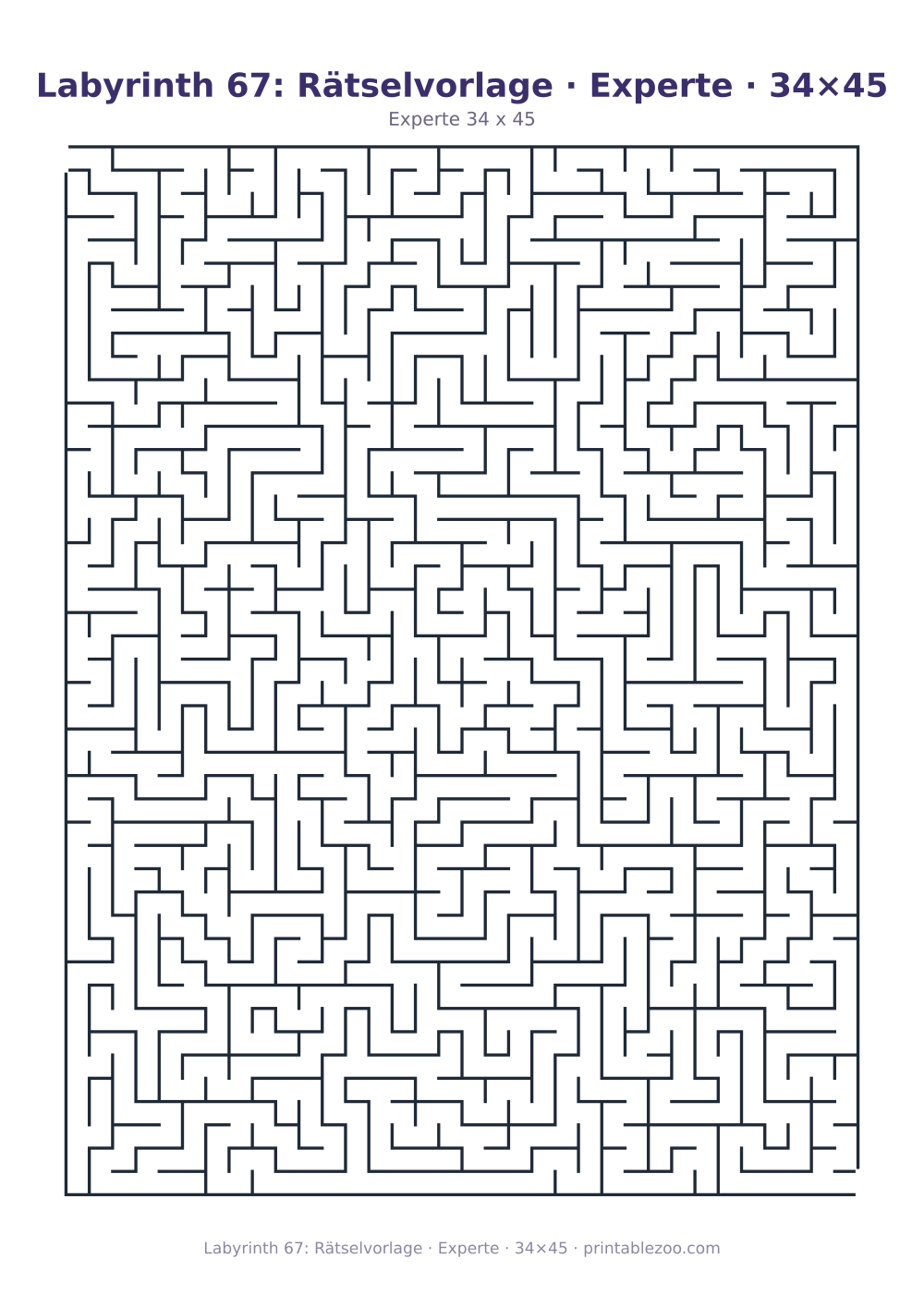 Labyrinth 67: Rätselvorlage · Experte · 34×45 als druckfertige Vorschau, Katalognummer 162223 Rätsel Nr. 162223.