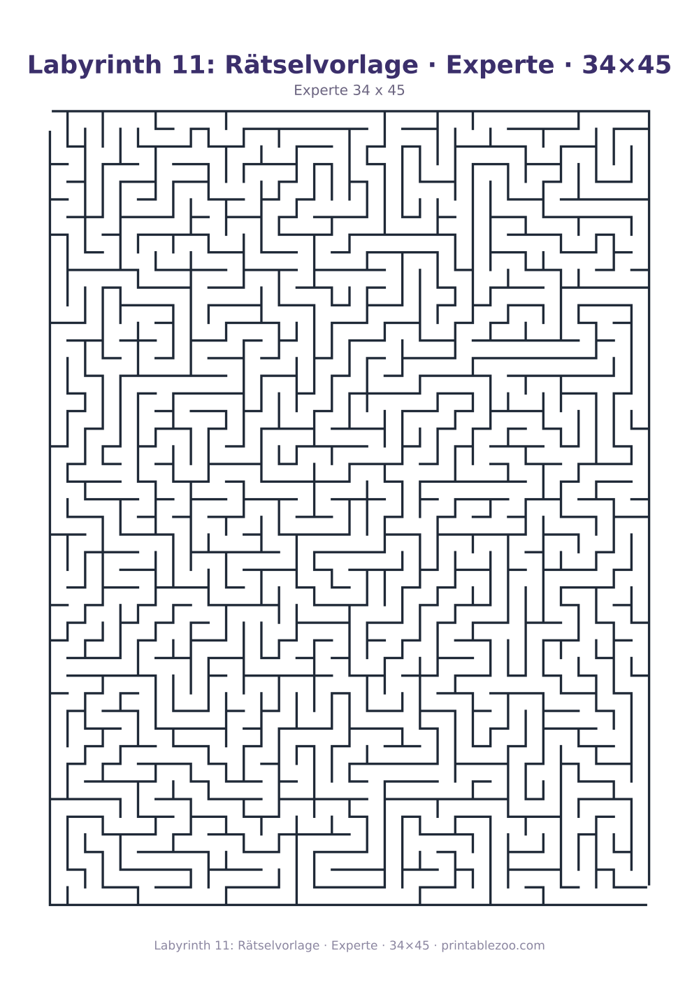 Labyrinth 11: Rätselvorlage · Experte · 34×45 als druckfertige Vorschau, Katalognummer 100111