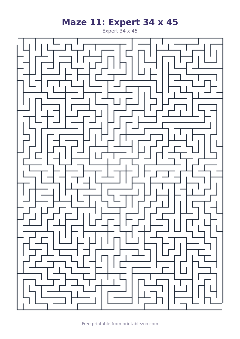 Maze 11: Expert 34 x 45