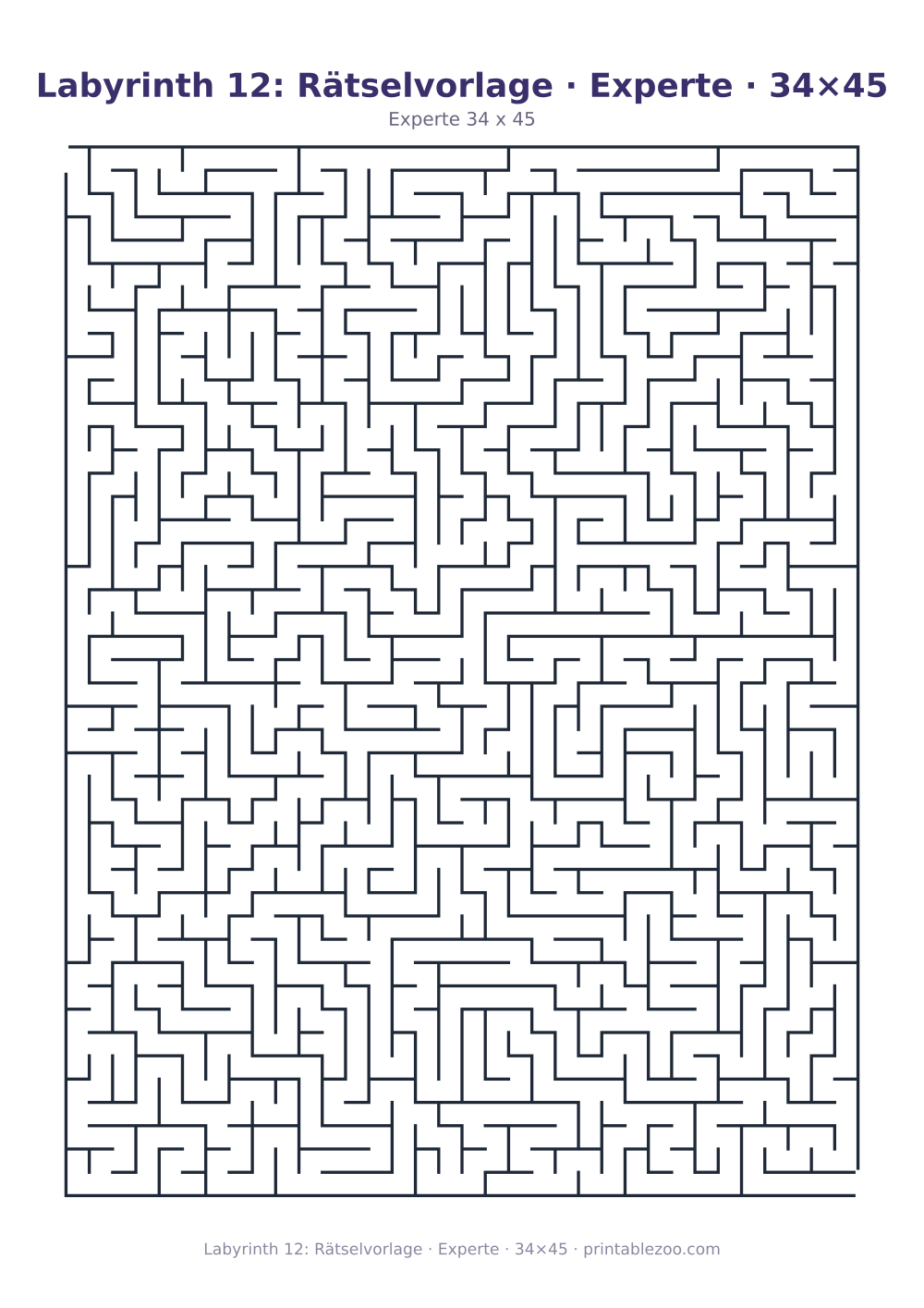 Labyrinth 12: Rätselvorlage · Experte · 34×45 als druckfertige Vorschau, Katalognummer 100112