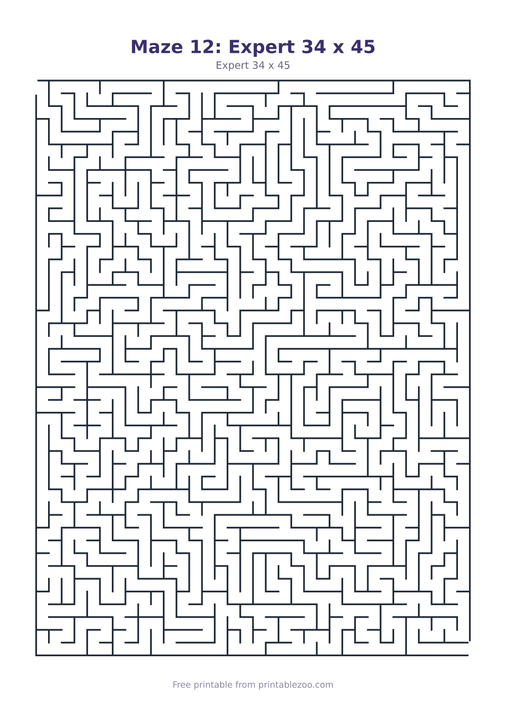 Maze 12: Expert 34 x 45