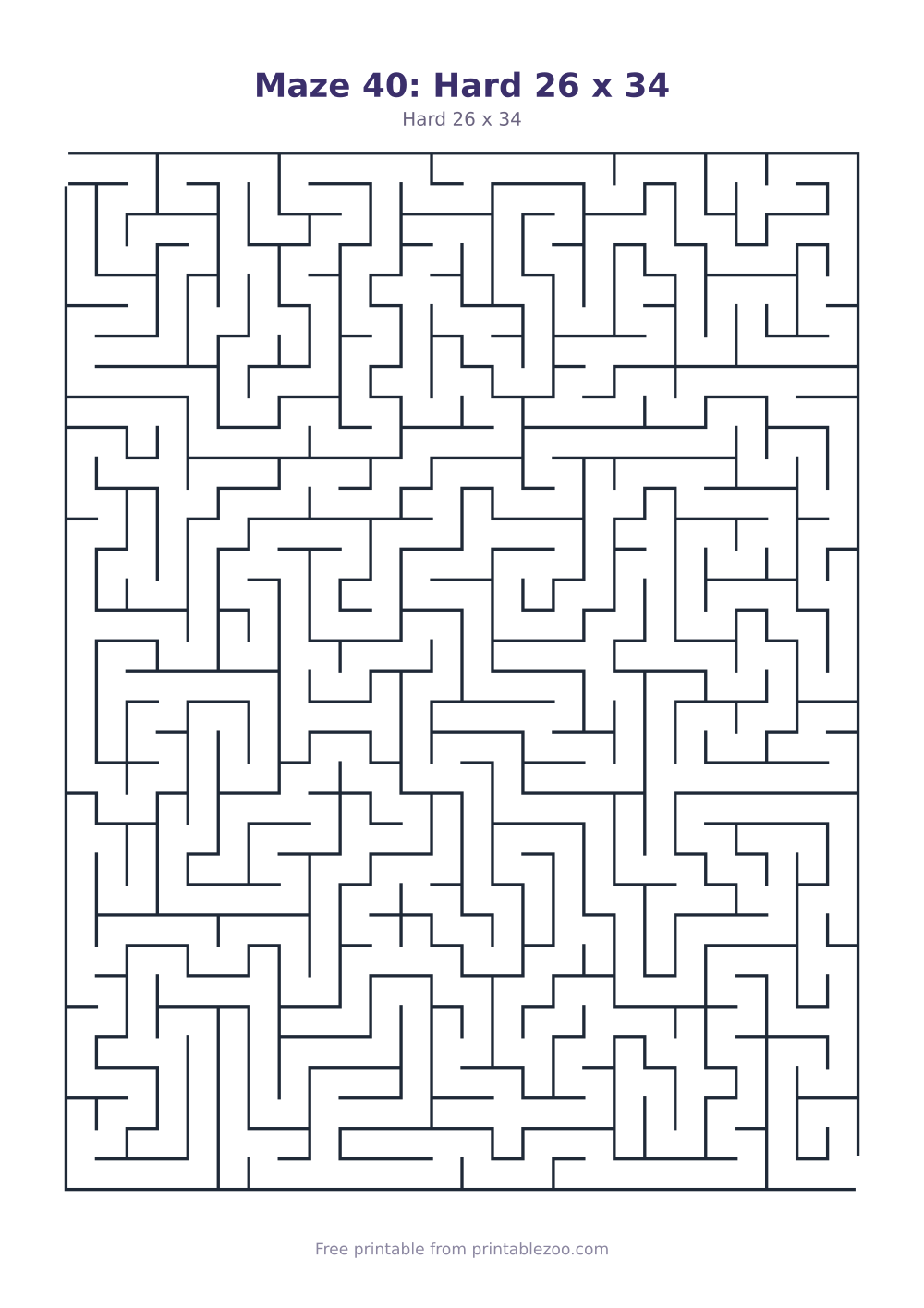 Maze 40: Hard 26 x 34