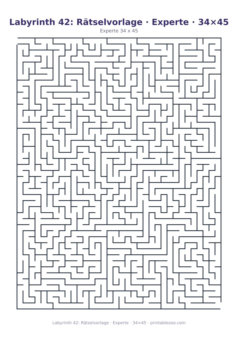 Labyrinth 42: Rätselvorlage · Experte · 34×45 als druckfertige Vorschau, Katalognummer 100142