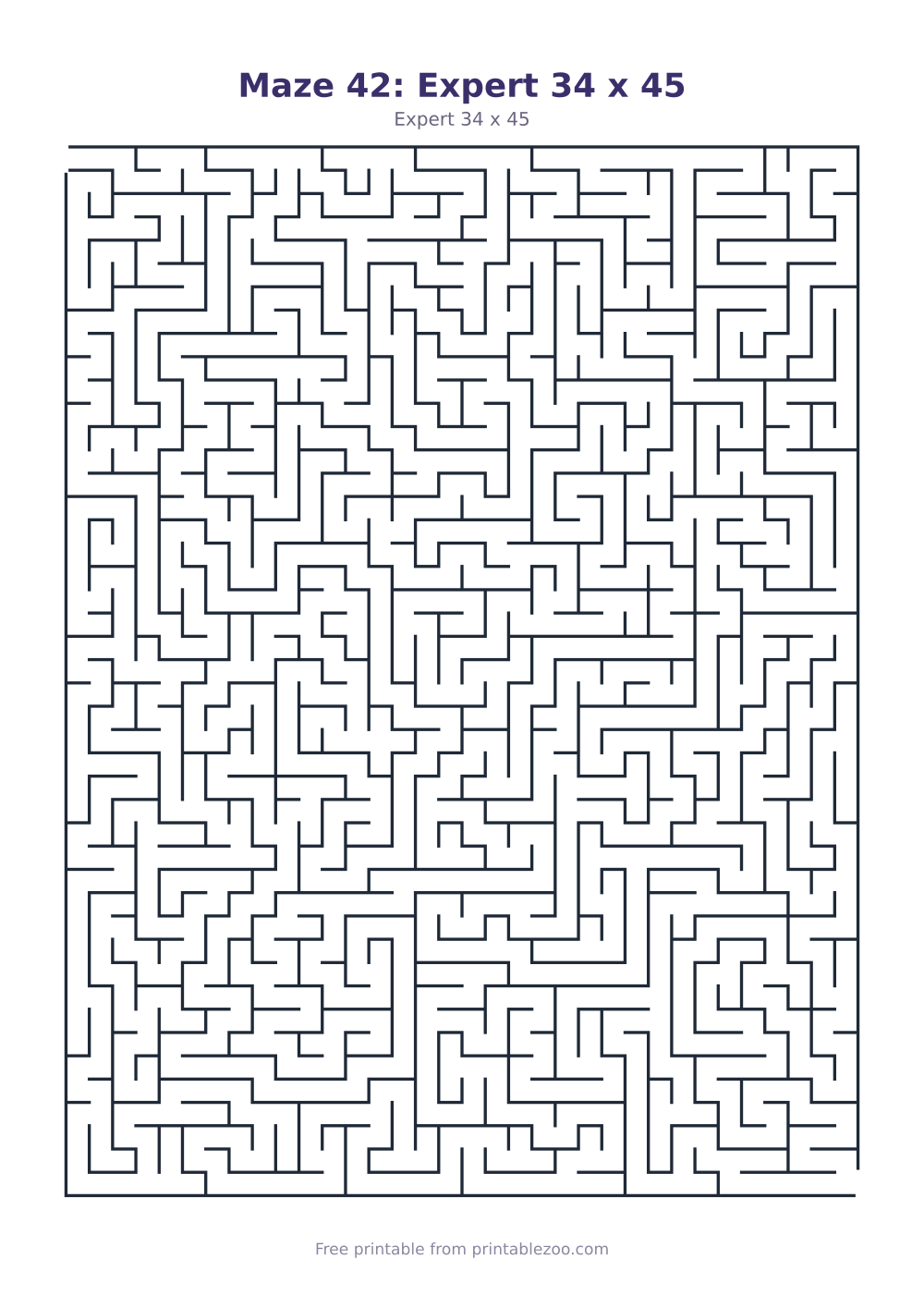 Maze 42: Expert 34 x 45