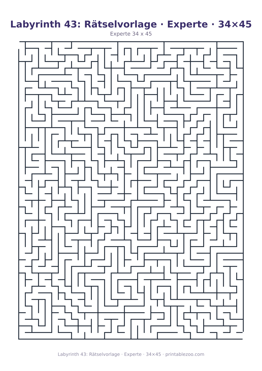 Labyrinth 43: Rätselvorlage · Experte · 34×45 als druckfertige Vorschau, Katalognummer 100143