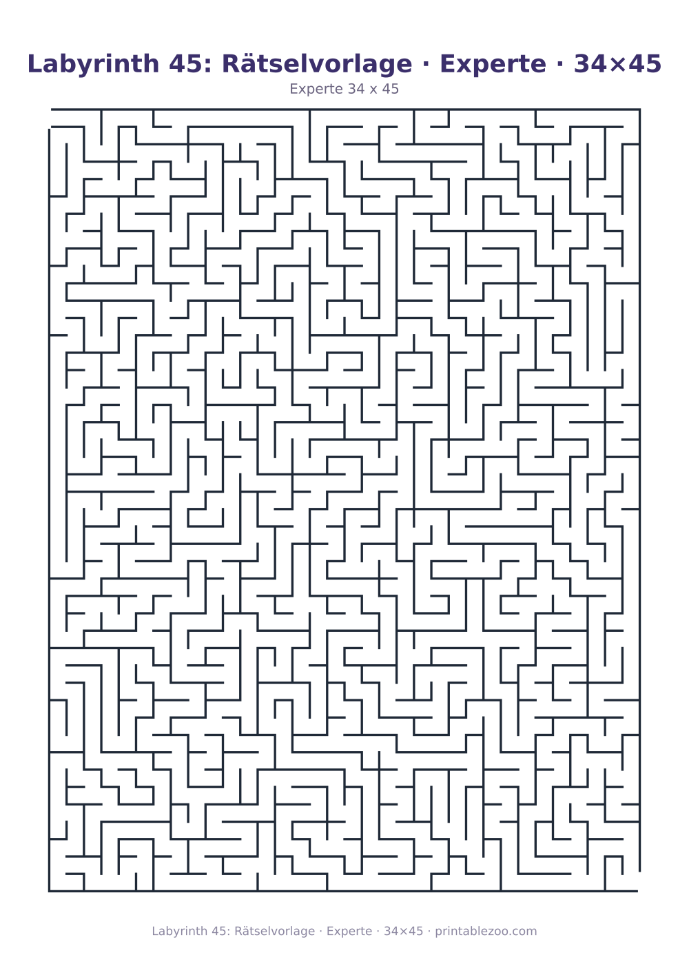 Labyrinth 45: Rätselvorlage · Experte · 34×45 als druckfertige Vorschau, Katalognummer 100145
