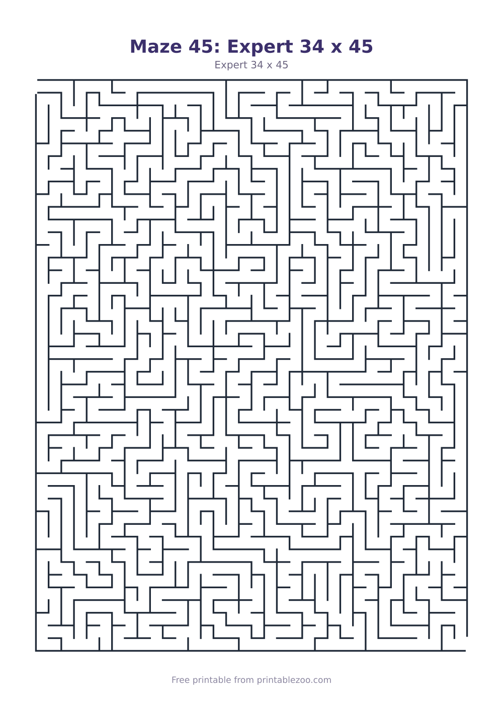 Maze 45: Expert 34 x 45