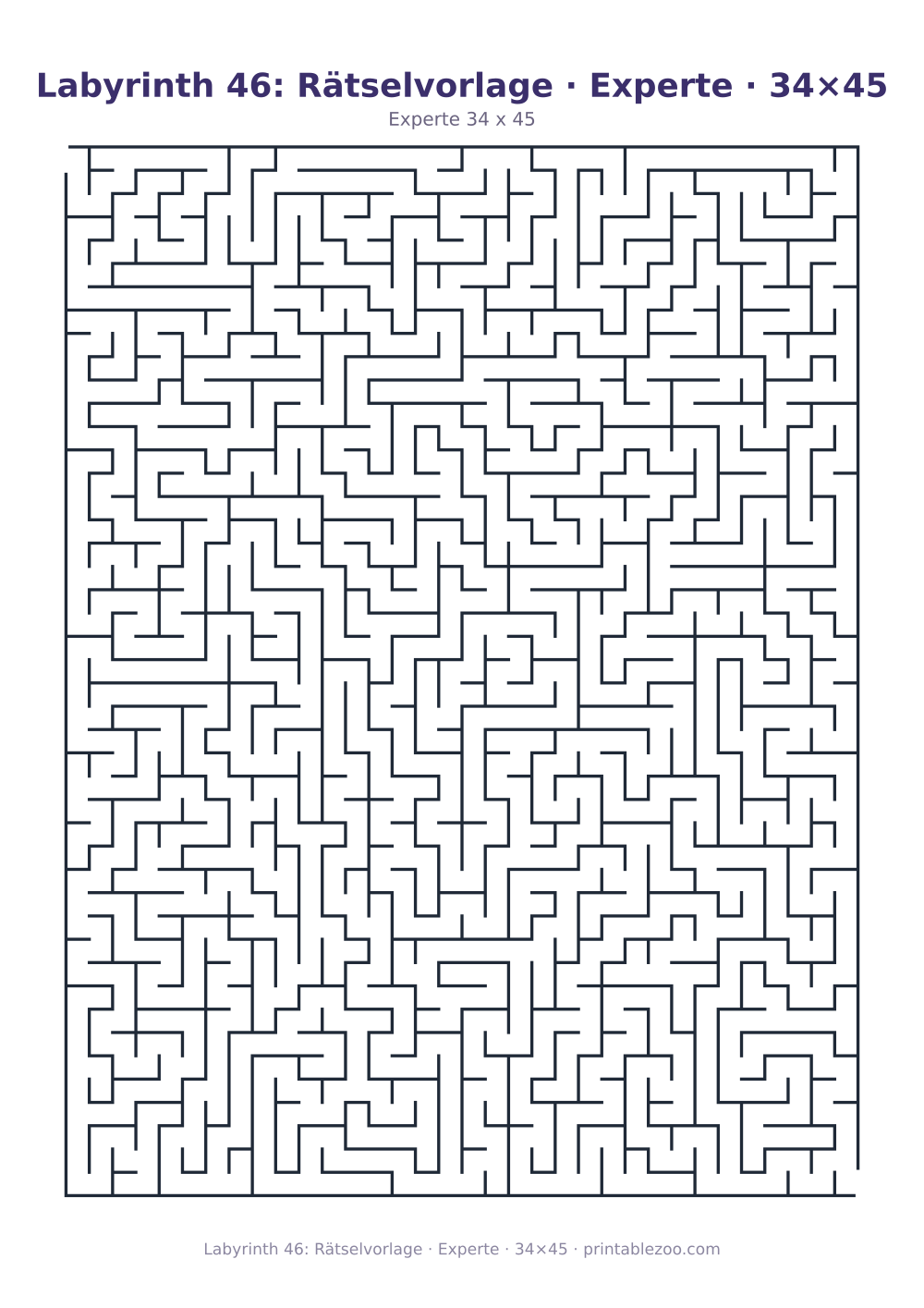 Labyrinth 46: Rätselvorlage · Experte · 34×45 als druckfertige Vorschau, Katalognummer 100146