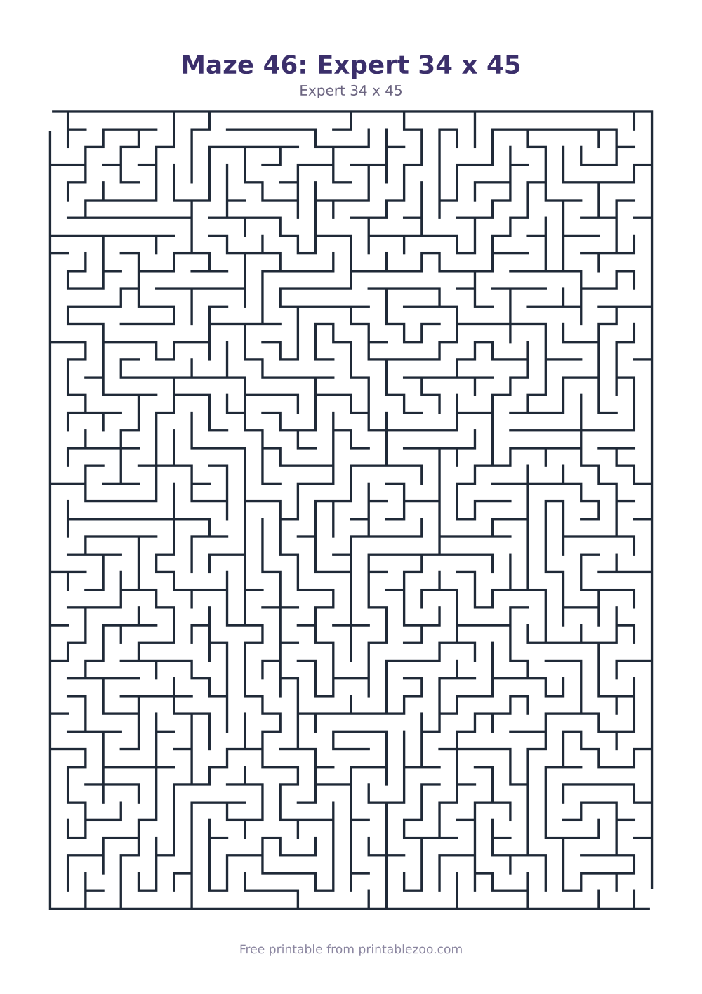 Maze 46: Expert 34 x 45