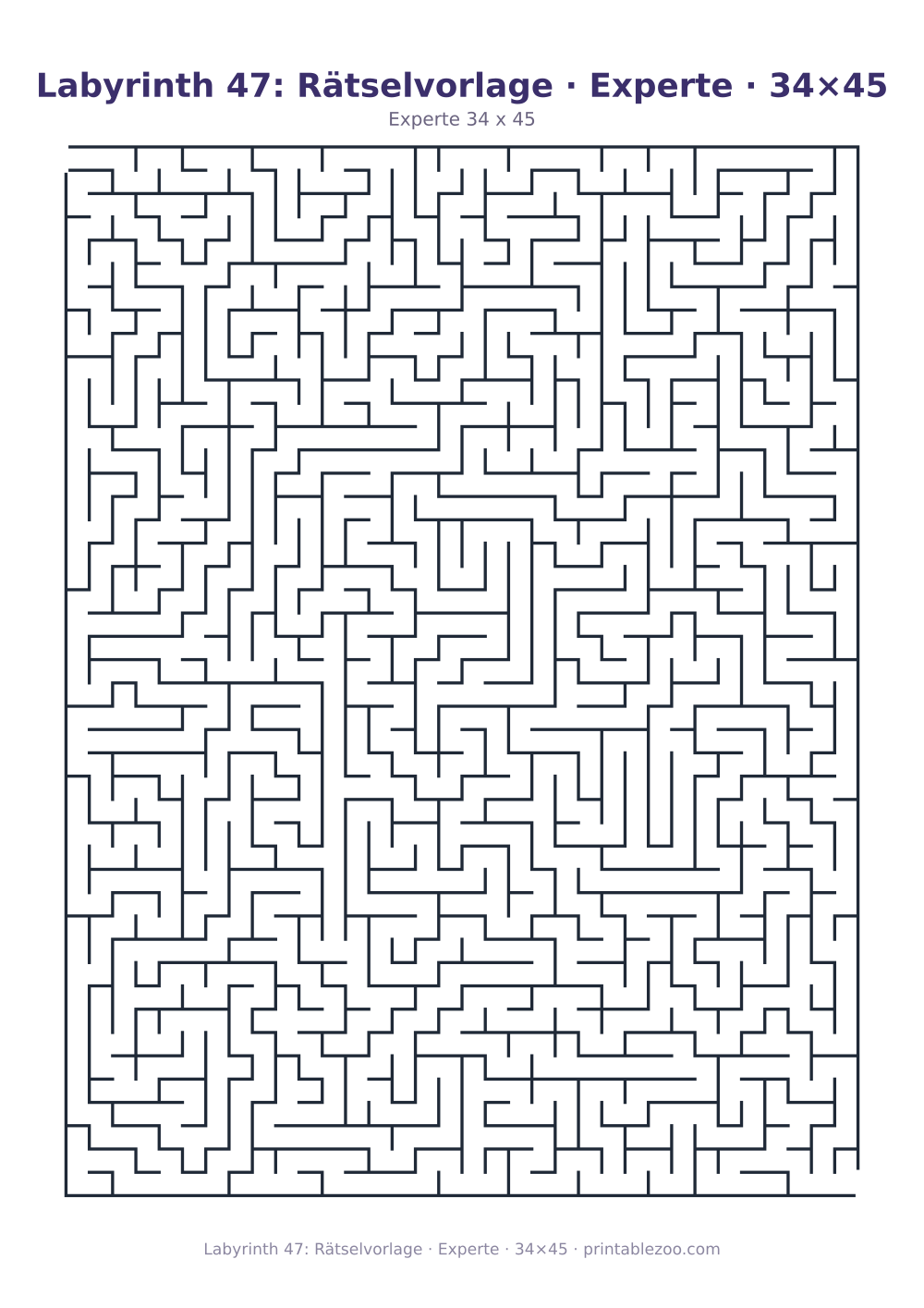 Labyrinth 47: Rätselvorlage · Experte · 34×45 als druckfertige Vorschau, Katalognummer 100147