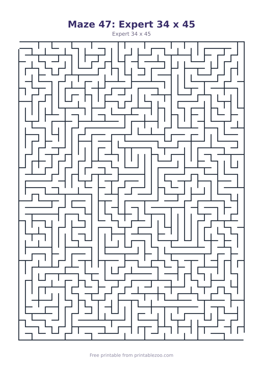 Maze 47: Expert 34 x 45