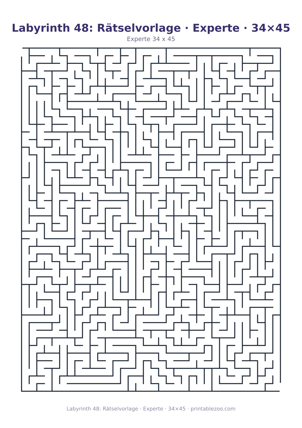 Labyrinth 48: Rätselvorlage · Experte · 34×45 als druckfertige Vorschau, Katalognummer 100148