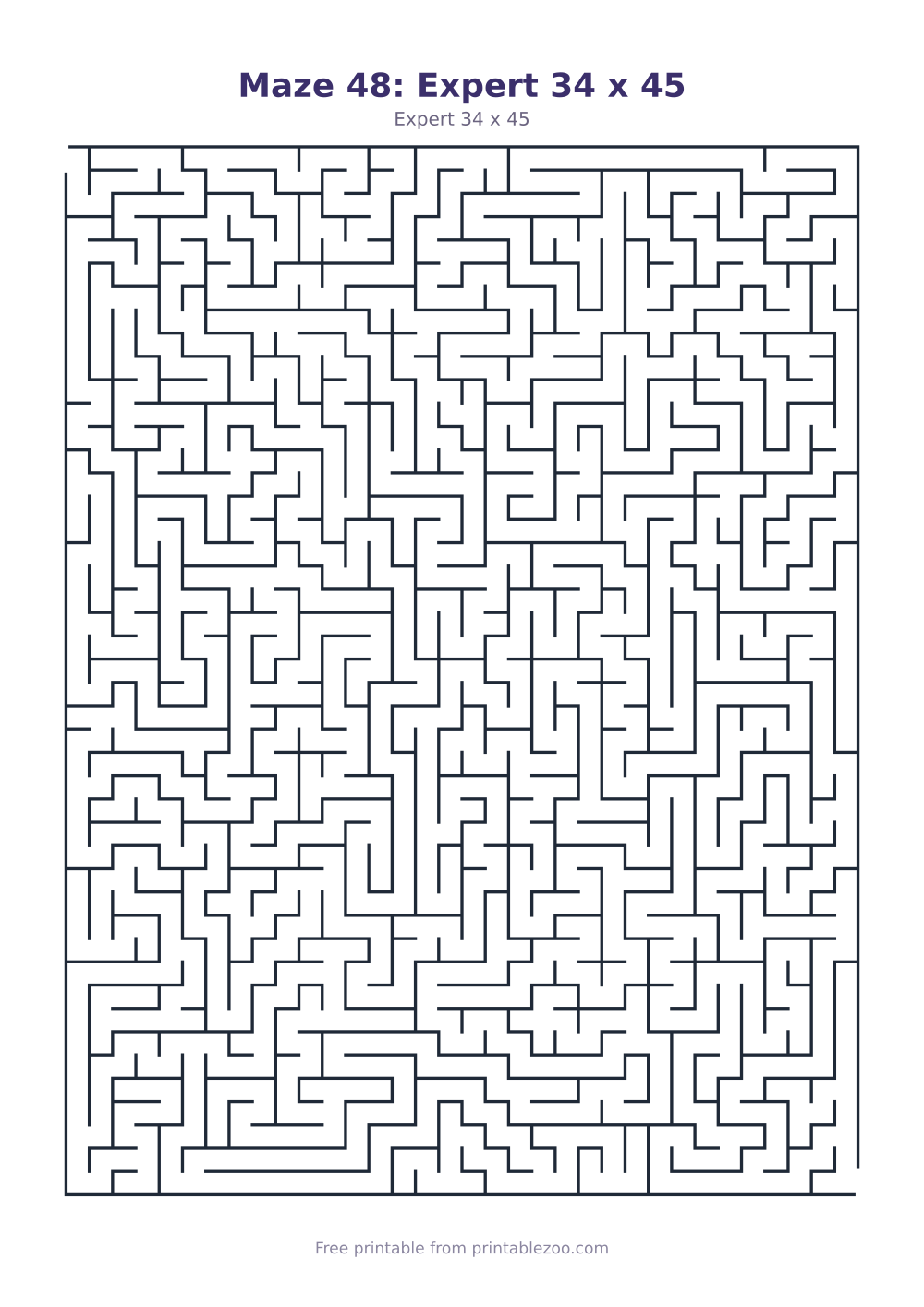 Maze 48: Expert 34 x 45