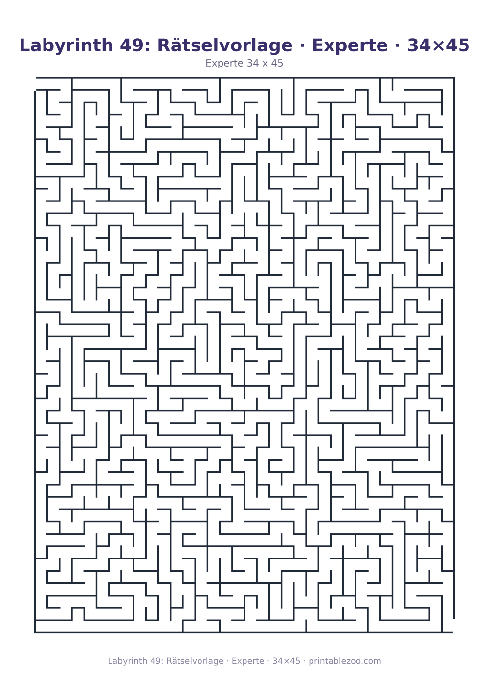 Labyrinth 49: Rätselvorlage · Experte · 34×45 als druckfertige Vorschau, Katalognummer 100149