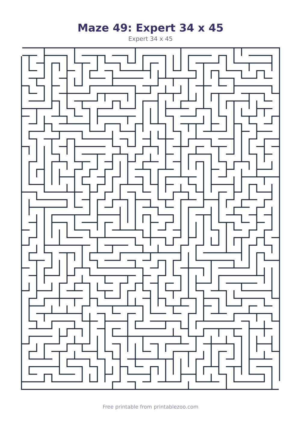Maze 49: Expert 34 x 45