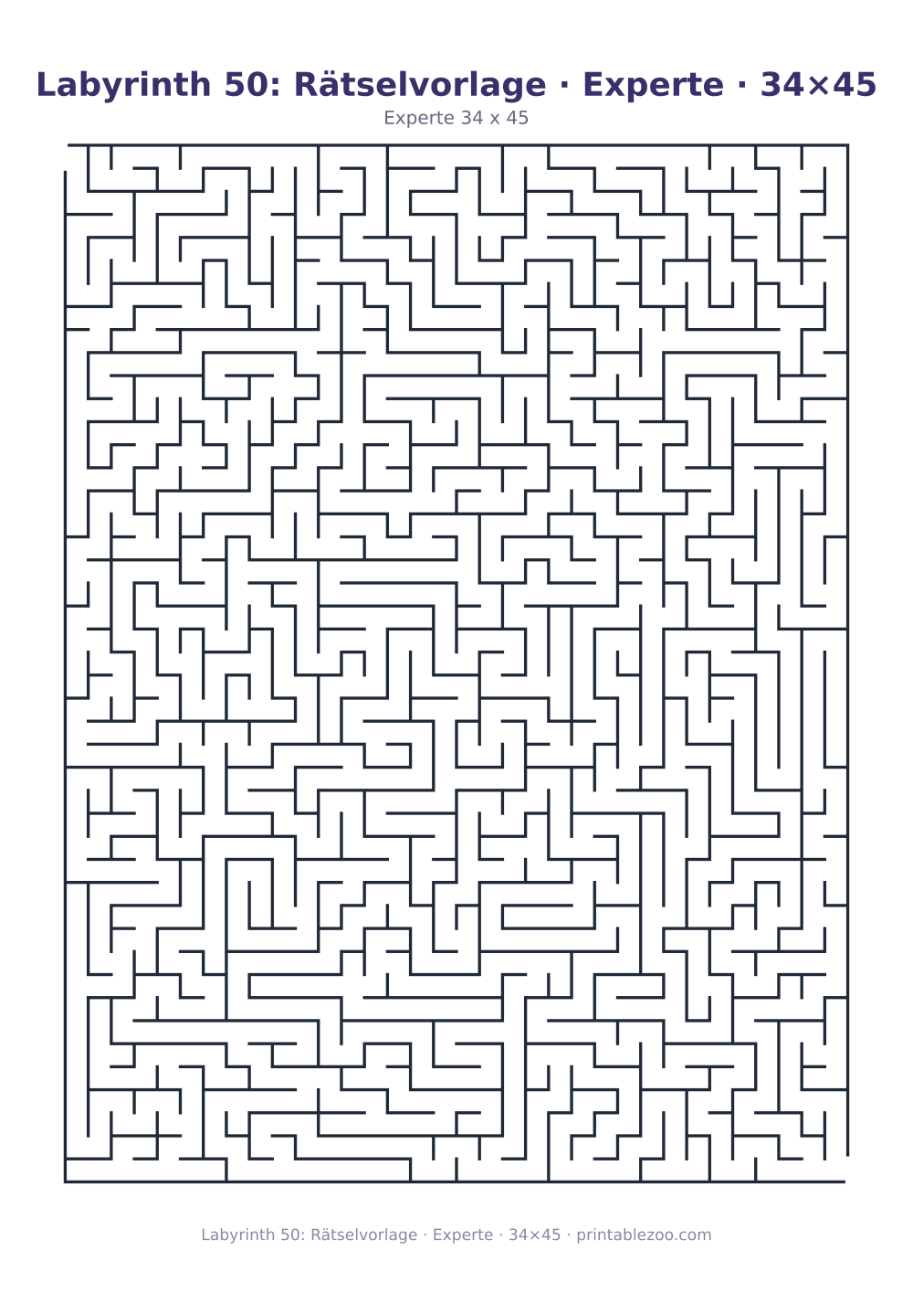 Labyrinth 50: Rätselvorlage · Experte · 34×45 als druckfertige Vorschau, Katalognummer 100150