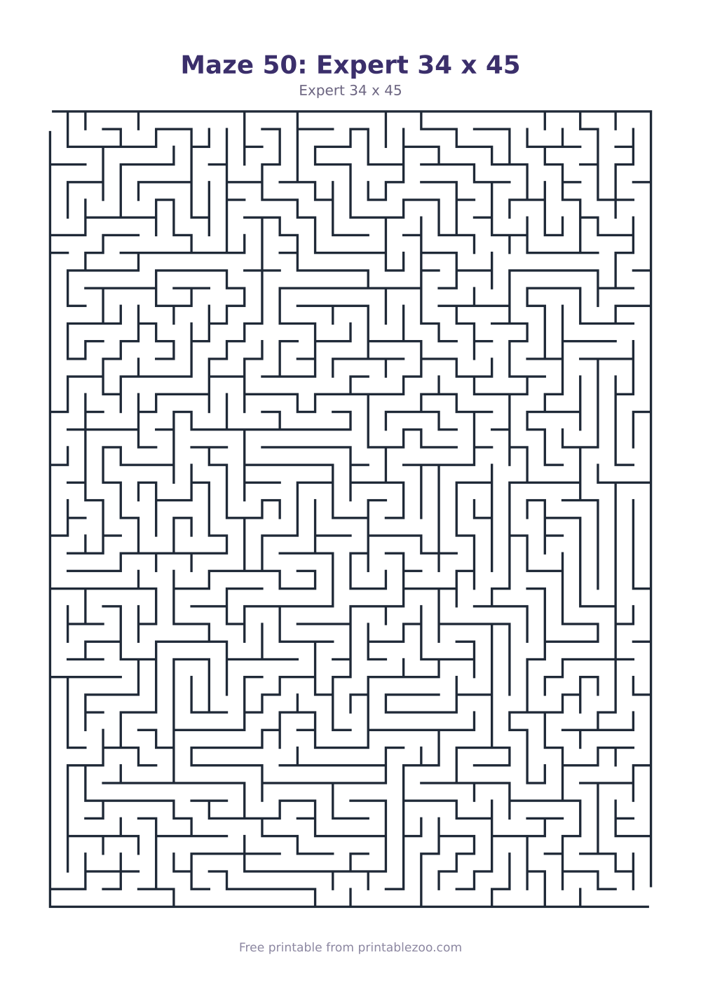 Maze 50: Expert 34 x 45