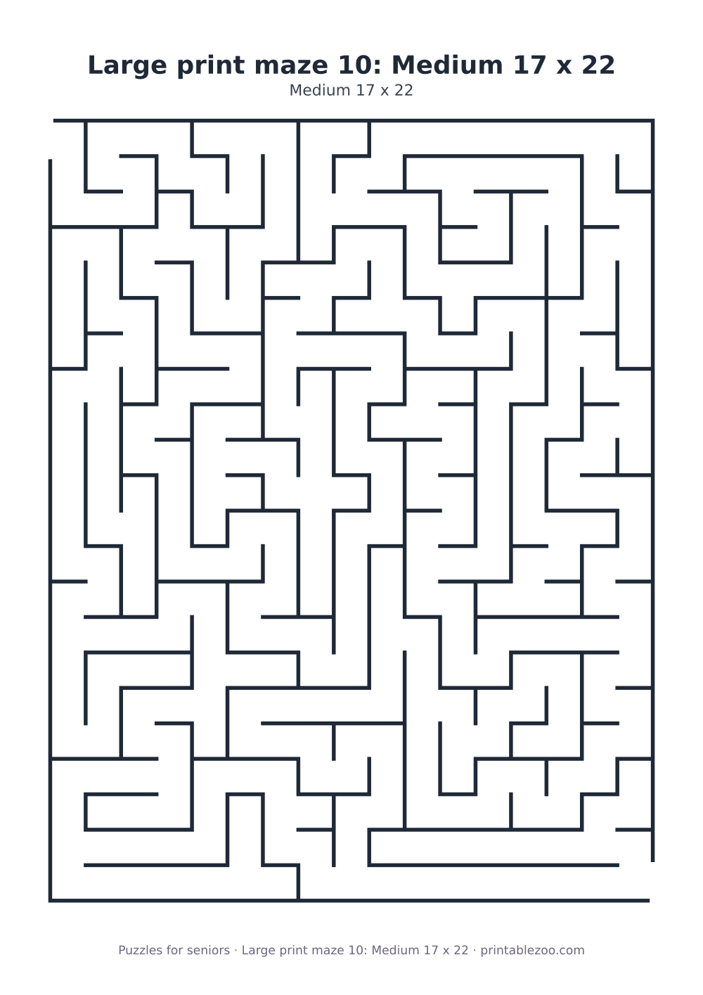 Large print maze 10: Medium 17 x 22